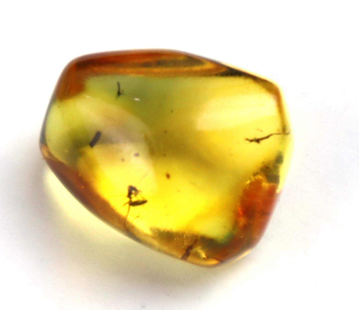 🪶 Natural Dominican Yellow Amber with Insect Inclusion – photo 3