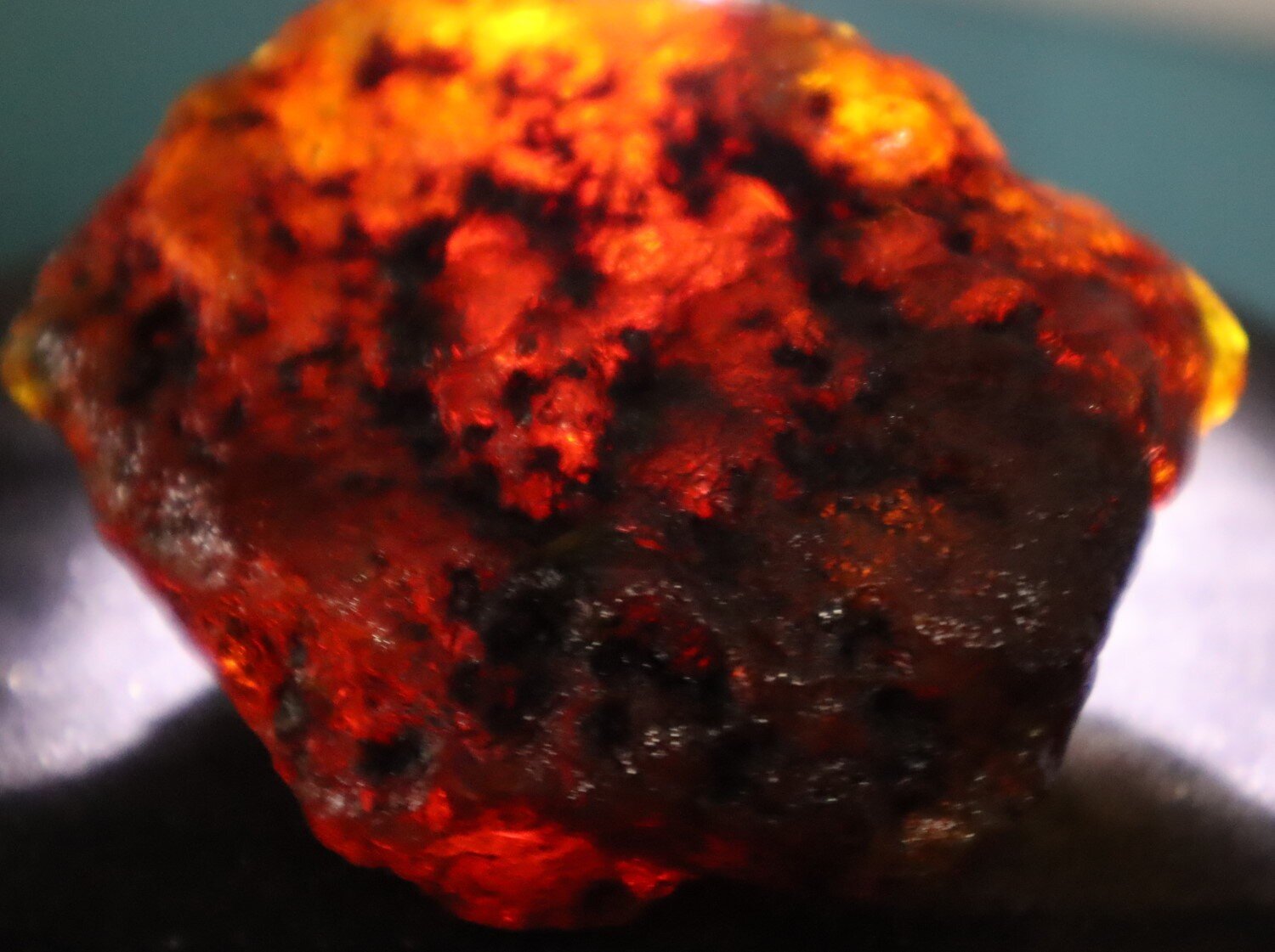 Charming Natural Dominican Translucent Green Blue Amber Rough Specimen 70mm 77g – photo 6