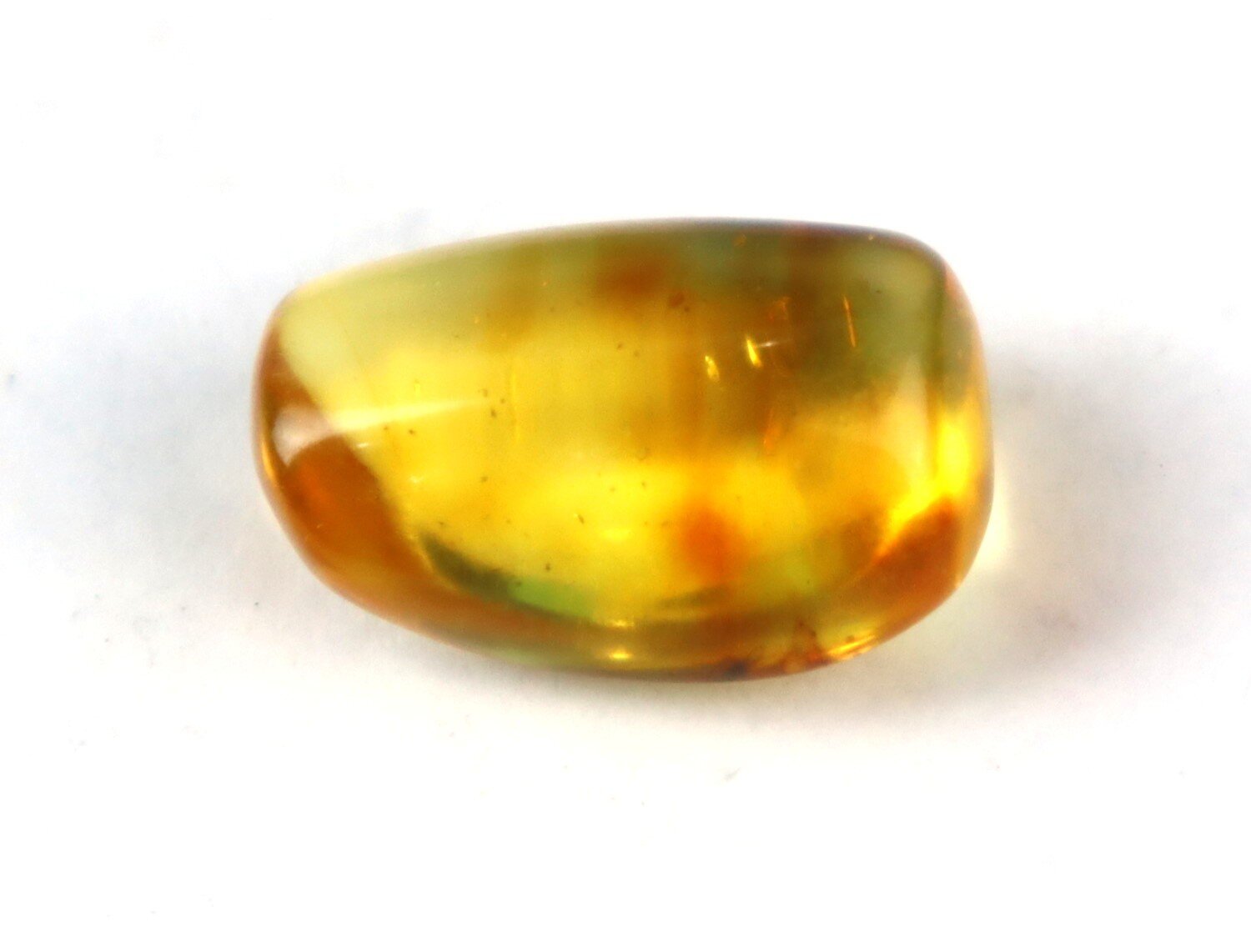 🟡 Natural Dominican Yellow Amber – Fossil Insect Inclusion – photo 4