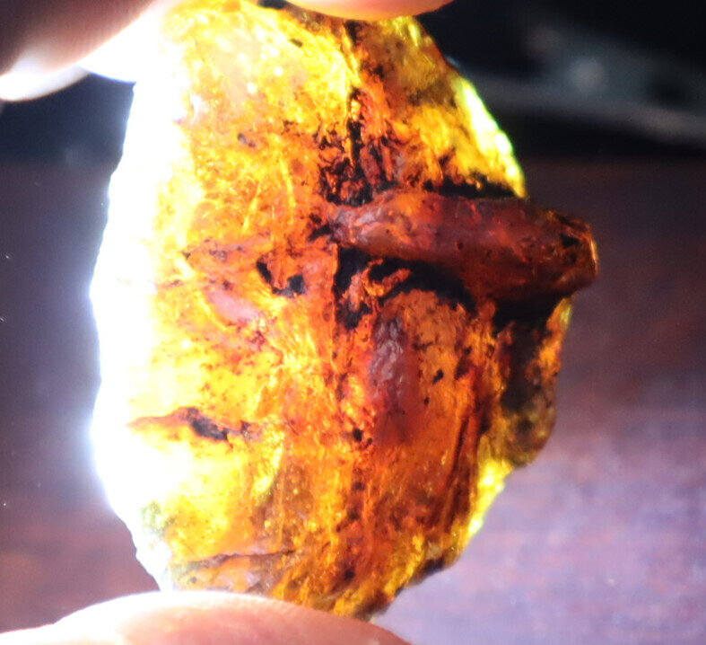 Exquisite Natural Dominican Clear Sky Blue Amber Rough Specimen 48mm 13.7g – photo 11