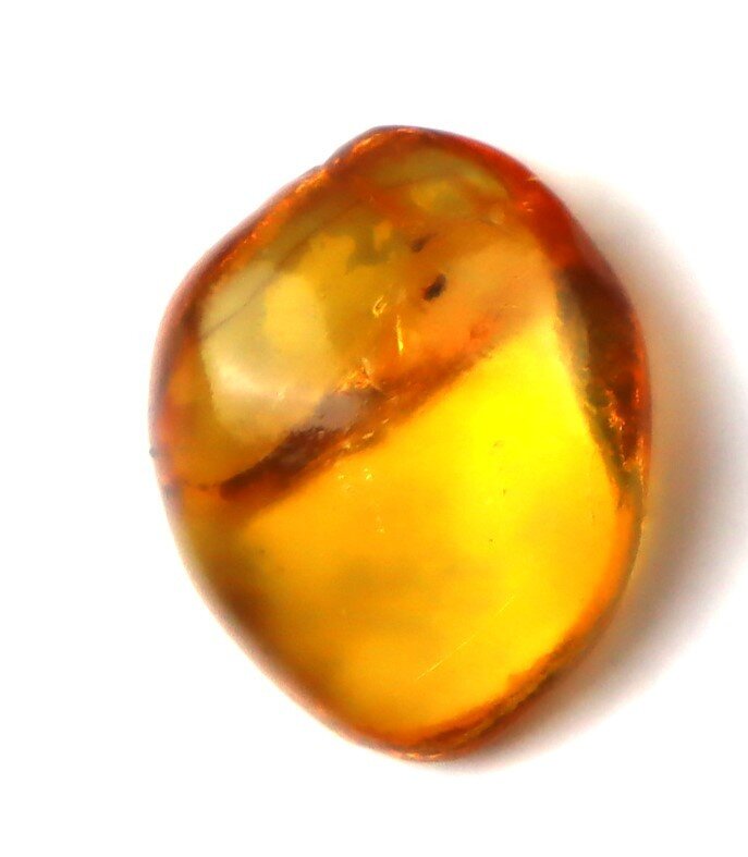 Dominican Amber with Natural Botanical Inclusion – photo 6