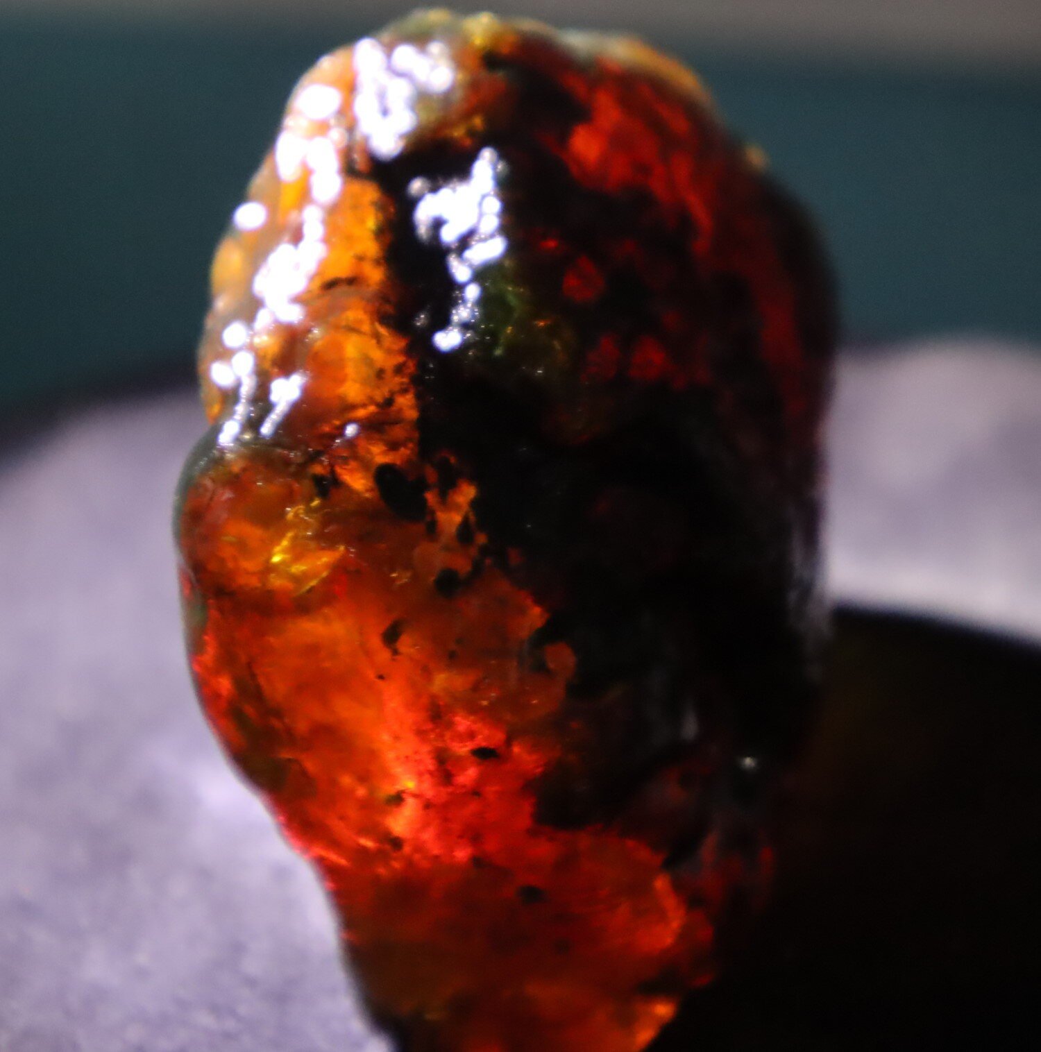 Natural Dominican Translucent Cognac Green Amber Rough Specimen 61mm 73.3g – photo 7